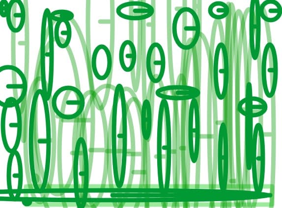ecologic view