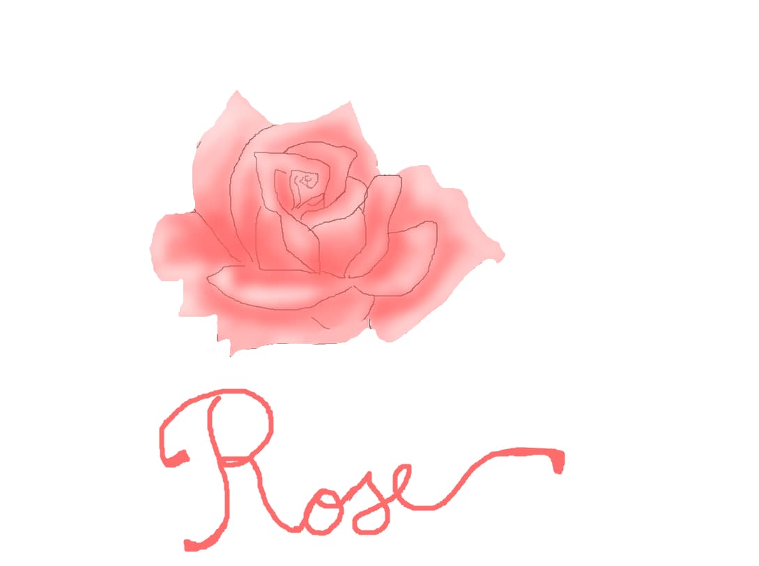 rose