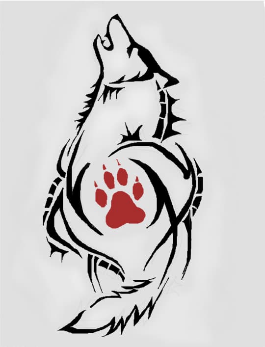 wolf