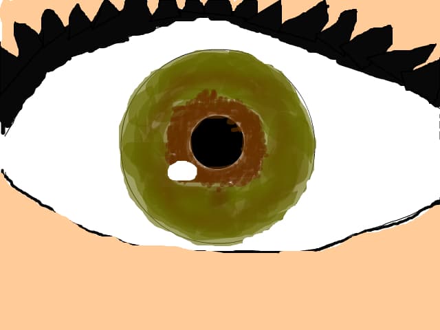 Ochi