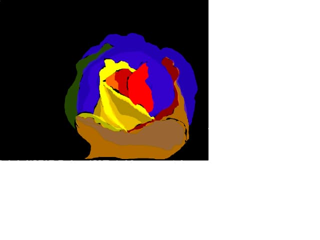 Trandafir multicolor
