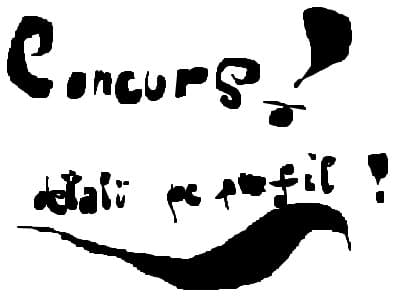 Concurs