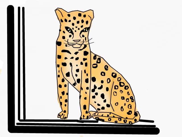 Ghepard