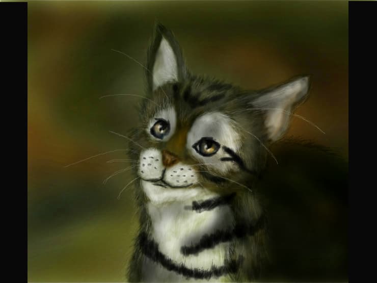 Kitten
