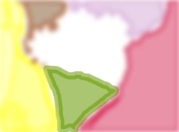Flori
