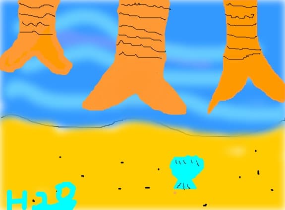 h2o