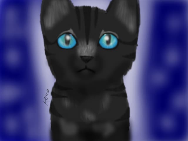 Jayfeather