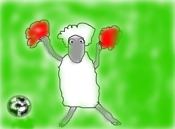 fotbal