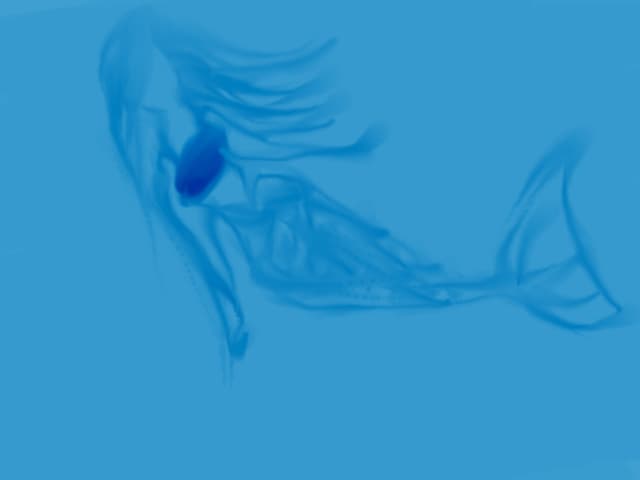 Sirena