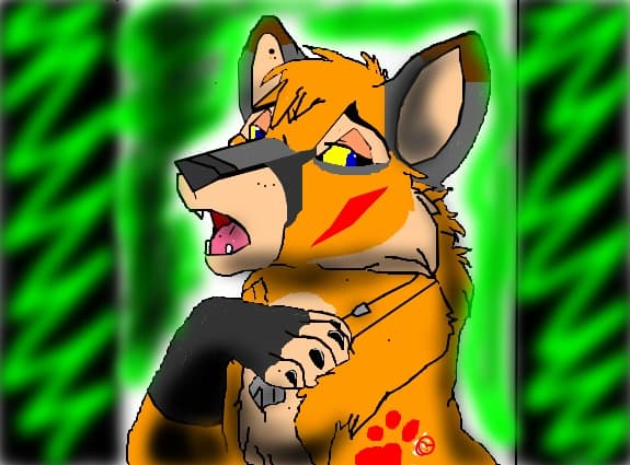 Kasa Fox profile
