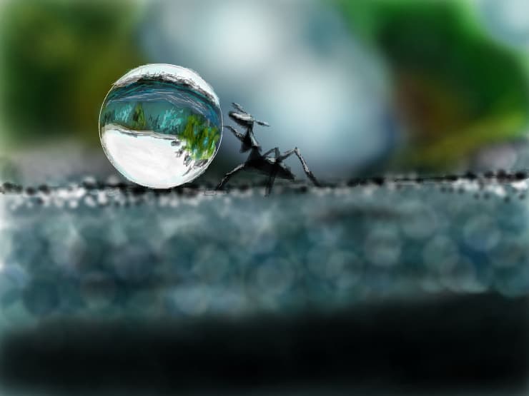 waterdrop ant