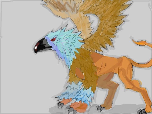 grifon