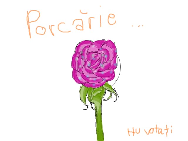 Porcarie