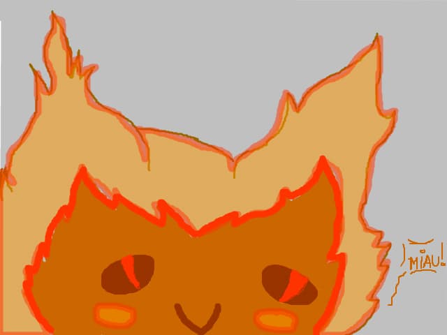 fire cat