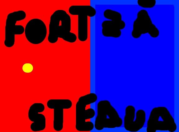 fortza steaua