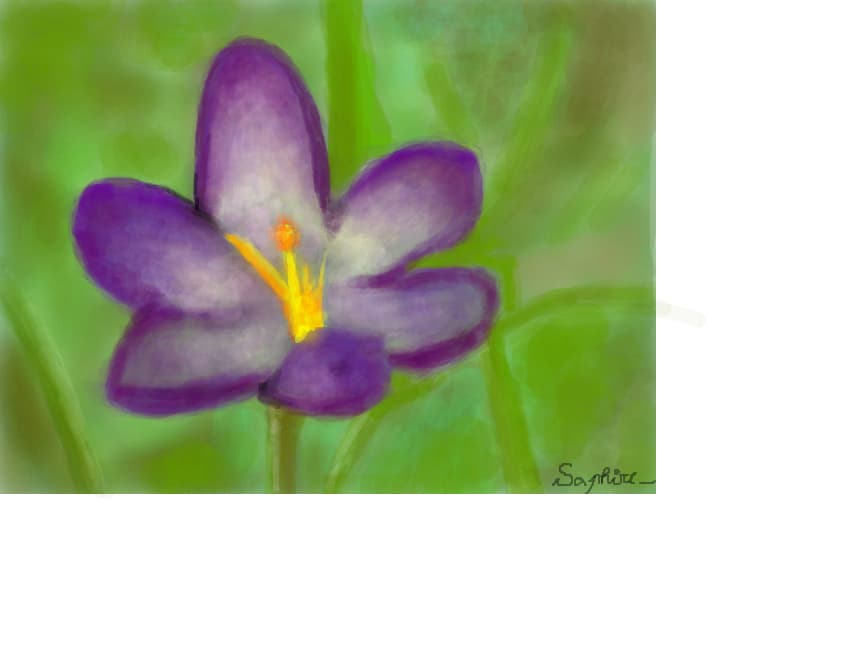 Pictura...