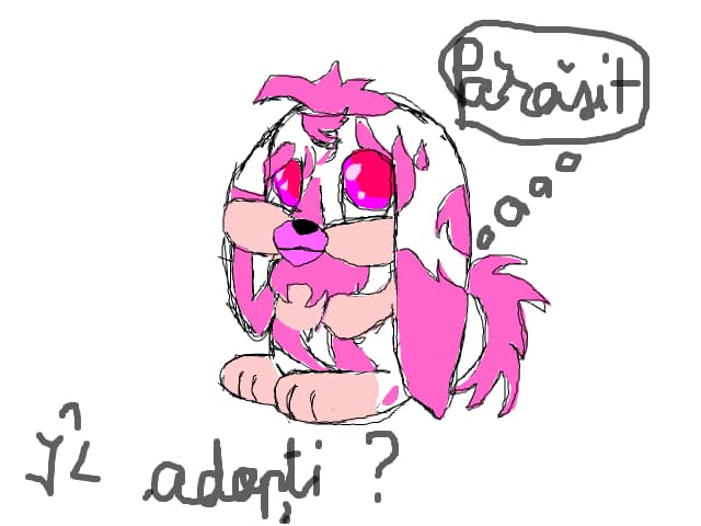 Rabbit