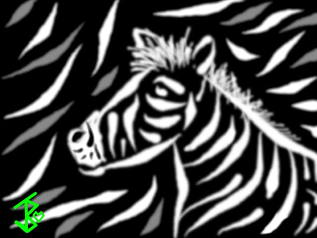 Zebra