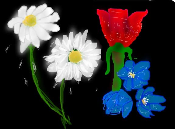 flori