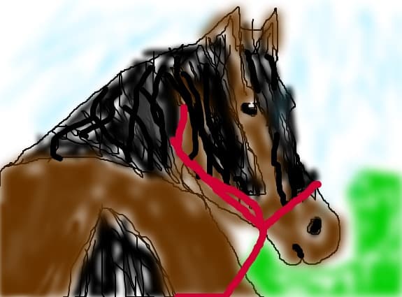 Horse