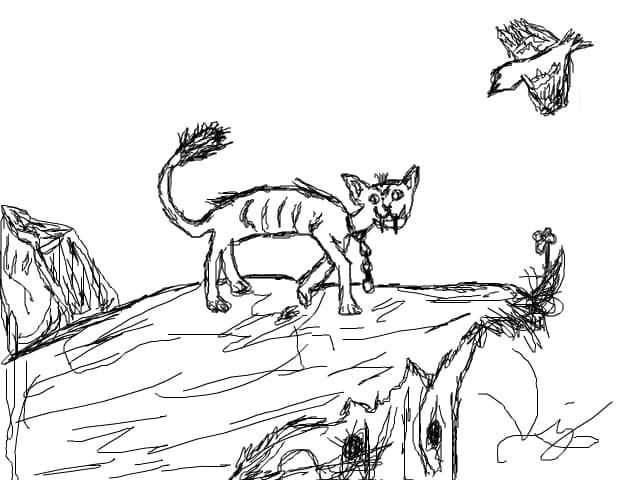 cat