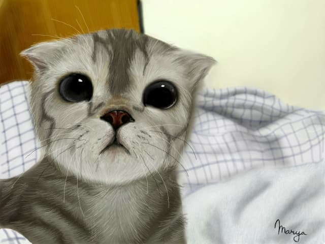 Pisoi...