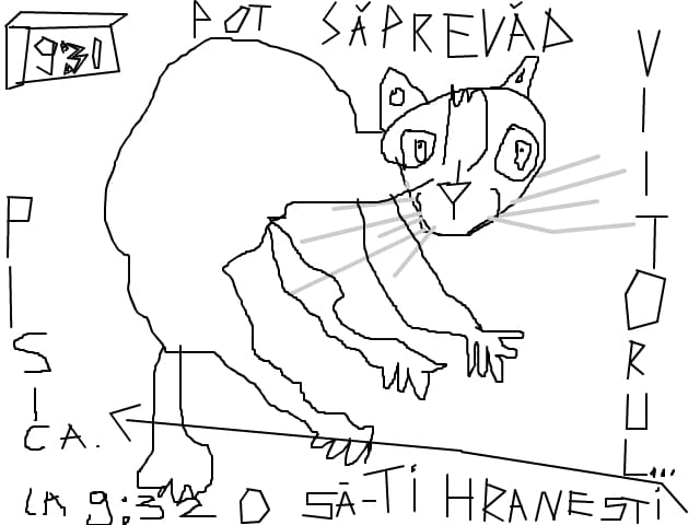 Pisica haioasa.