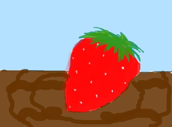 Strawberry in chocolatte
