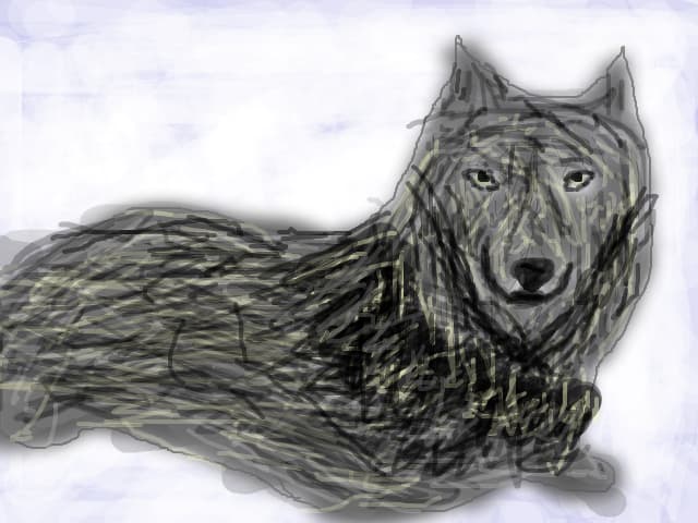 Wolf