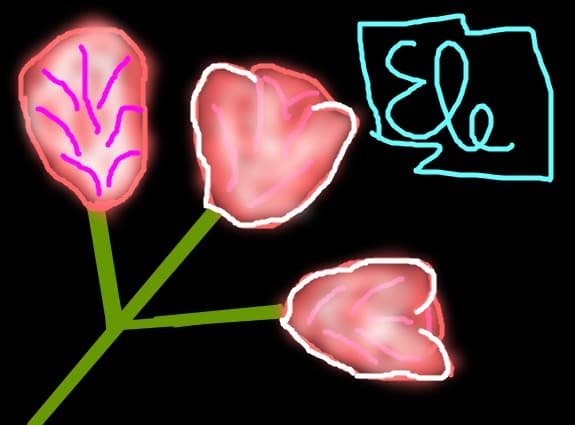 Ela\'s image