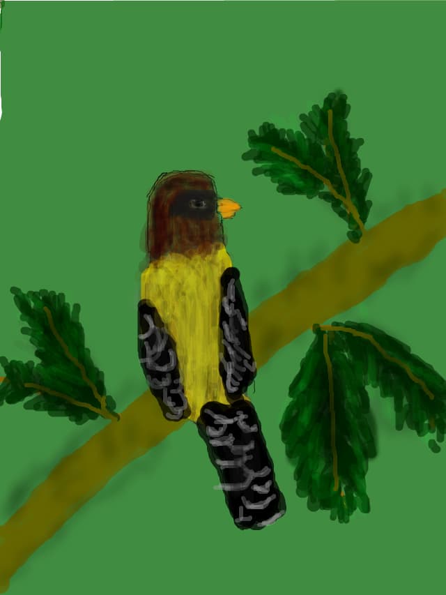 A bird