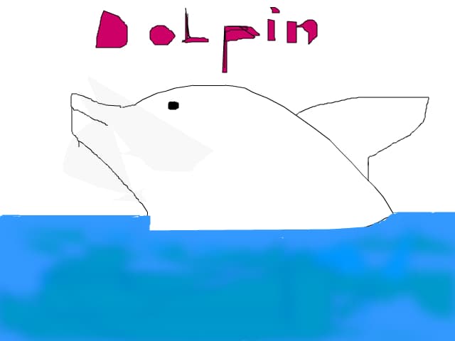 Delfin