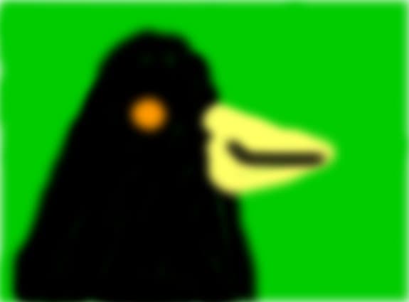 pinguin
