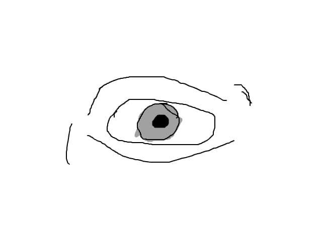 ochi