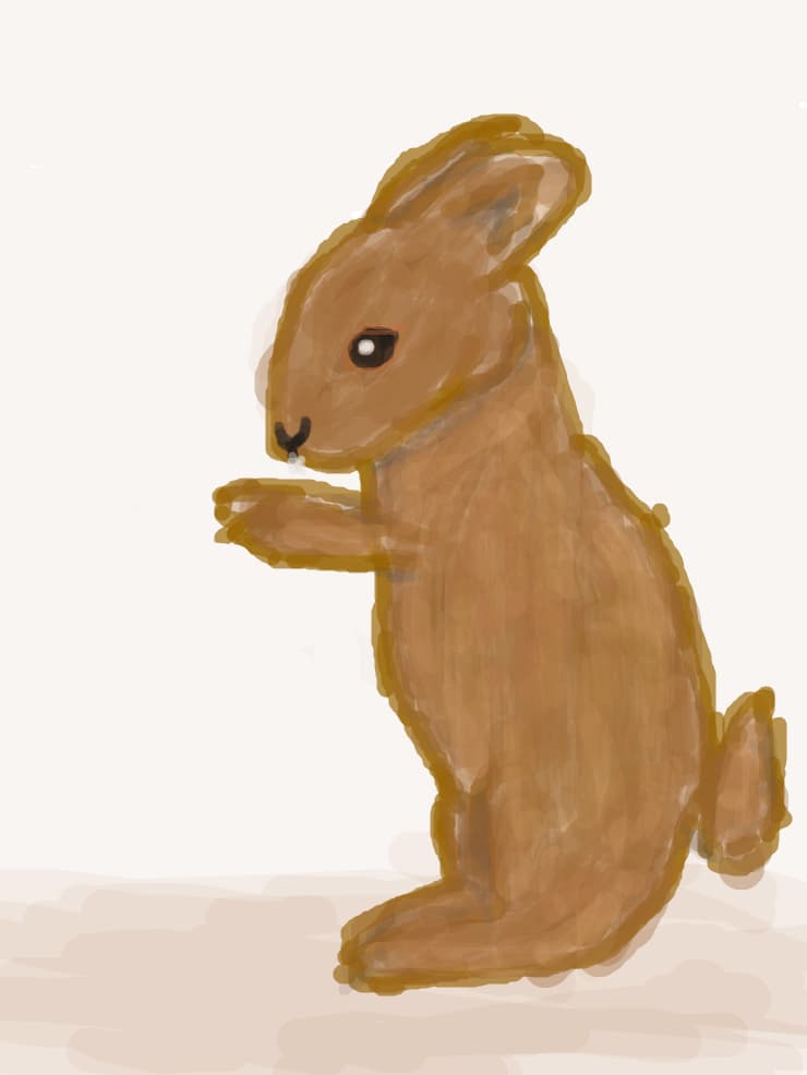 Rabbit