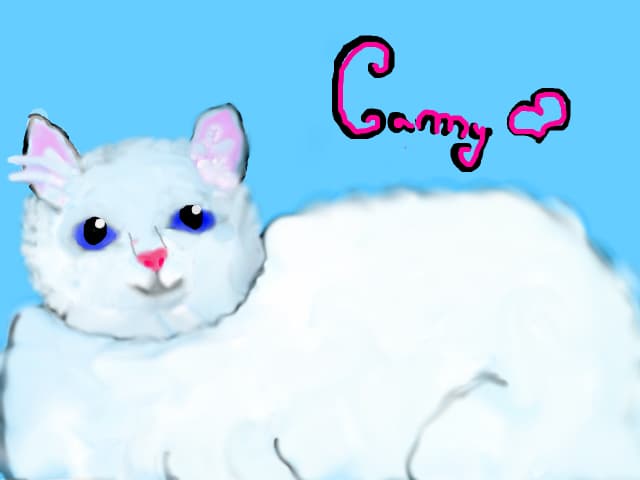 Smile Camy:)
