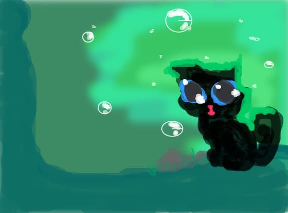 cutie cat