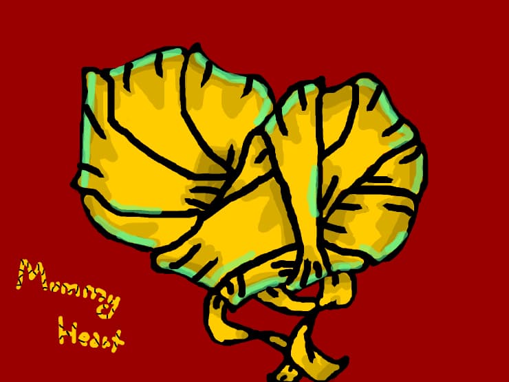 Mummy heart