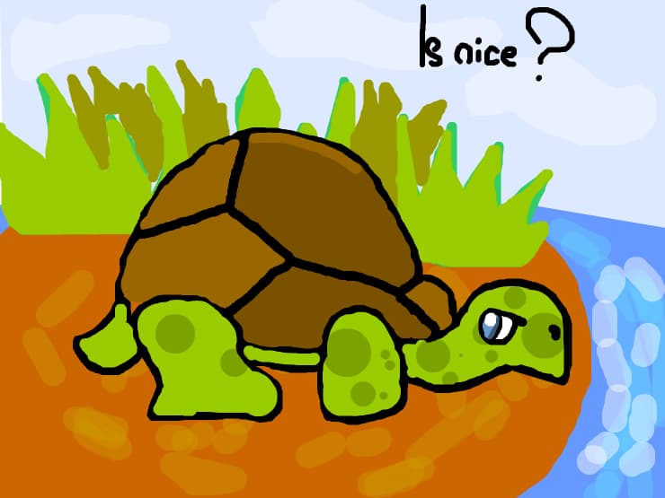 My first tutle...is nice?