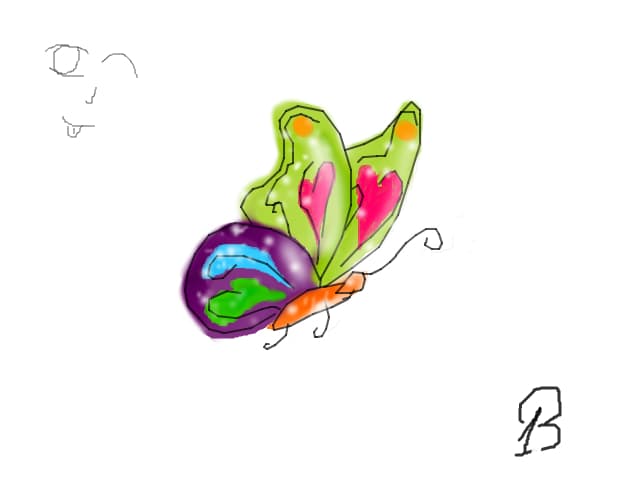 mazgalitura de fluturash