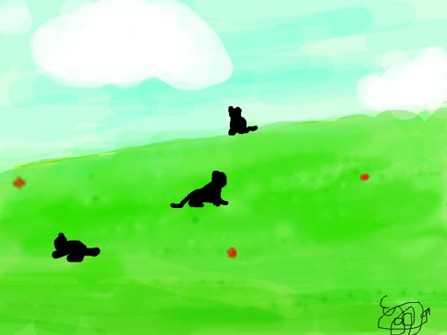Cats