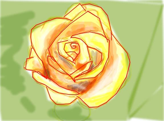 rose