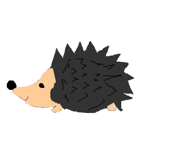 arici