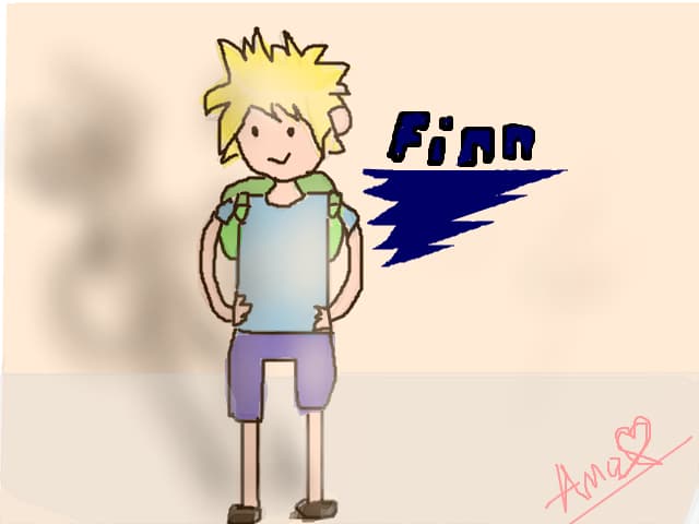 Finn Fara palarie