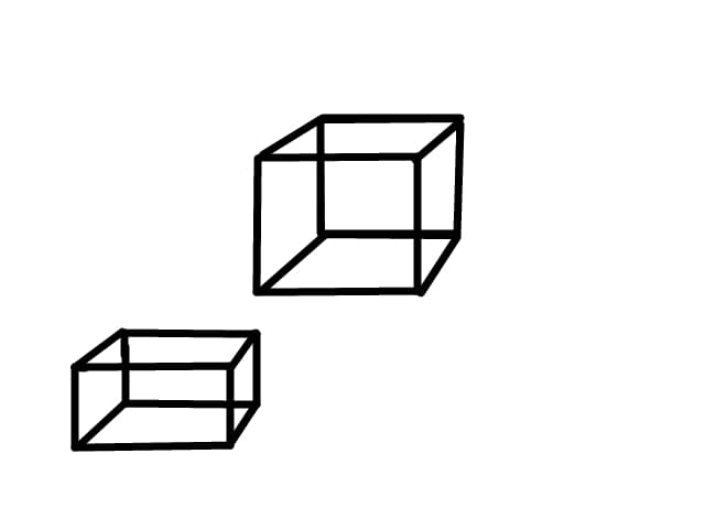 cub si cuboid