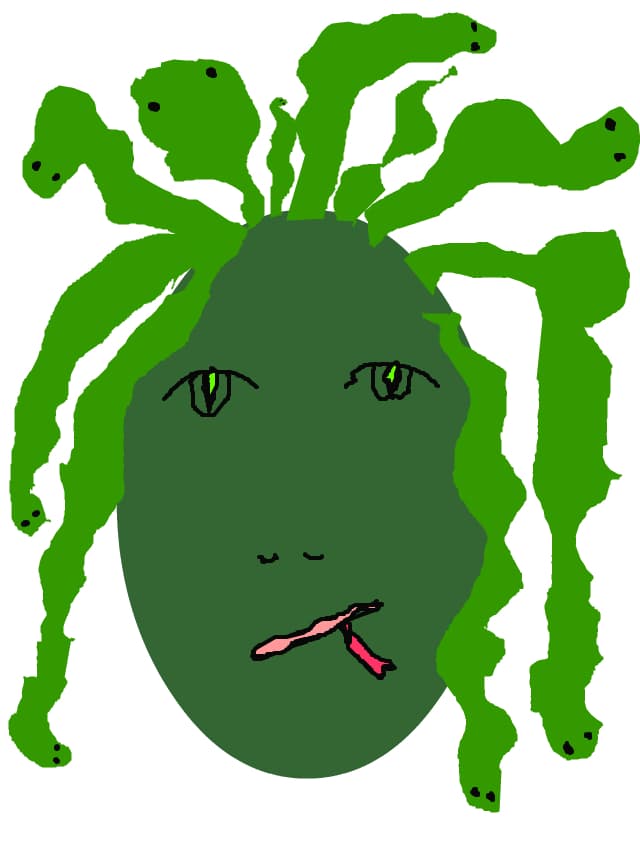 Gorgonna