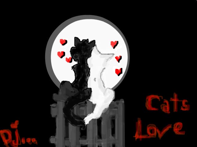 Love cats