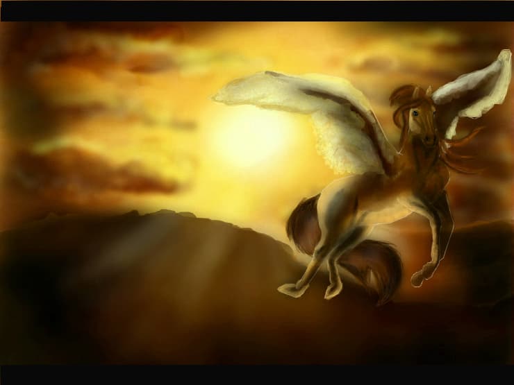 Fly...