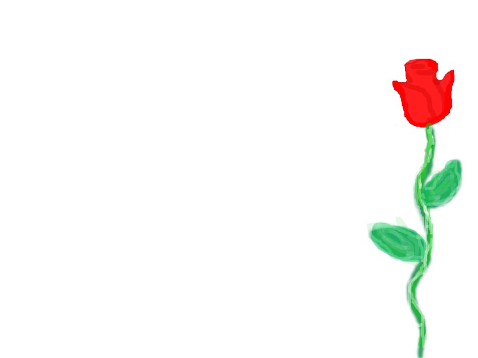 the rose