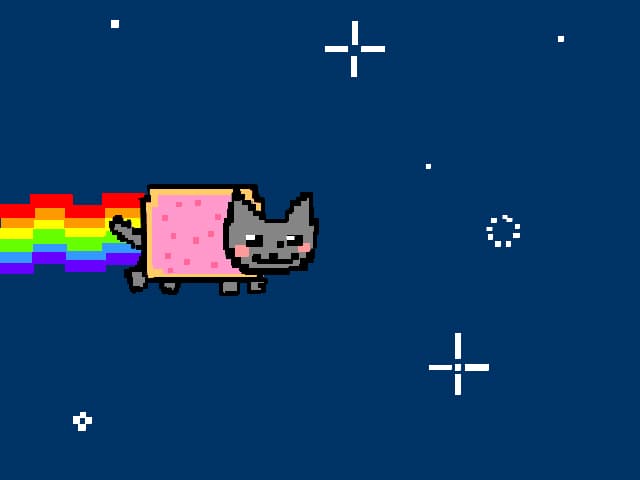 Nyan CaT!!